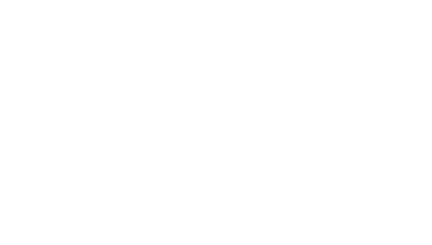VIRREY